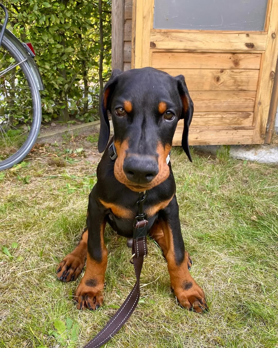 Kai (male) - Image 4